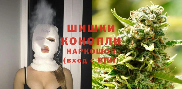 индика Алексеевка