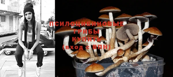 твердый Абаза