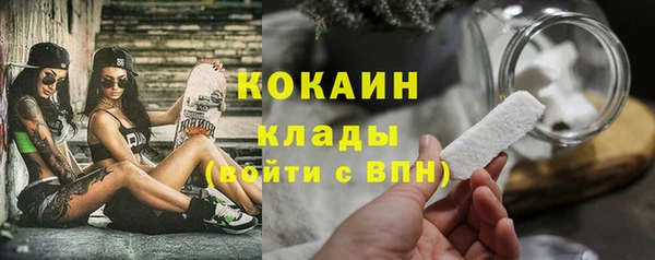 спиды Алзамай
