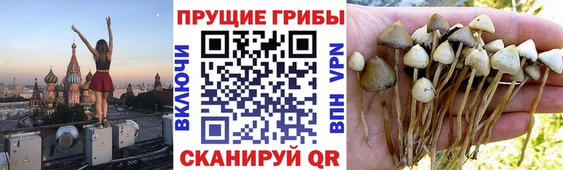 цены наркотик  Югорск  Псилоцибиновые грибы Magic Shrooms 